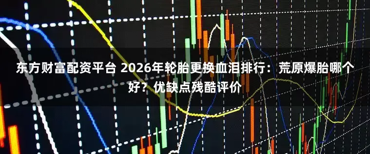 东方财富配资平台 2026年轮胎更换血泪排行：荒原爆胎哪个好？优缺点残酷评价