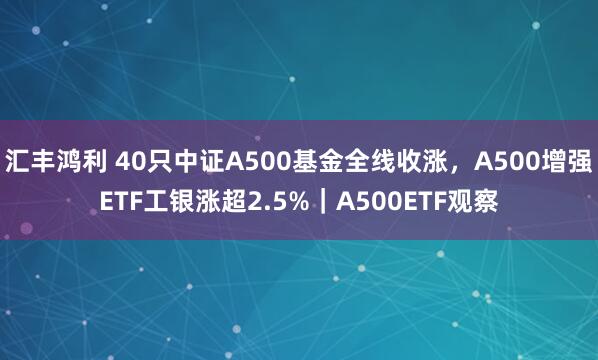 汇丰鸿利 40只中证A500基金全线收涨，A500增强ETF工银涨超2.5%｜A500ETF观察